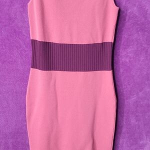 Eva Mendes for New York & Company Pink and Purple Maxi Dress